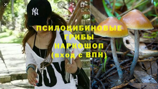 МДМА Карпинск